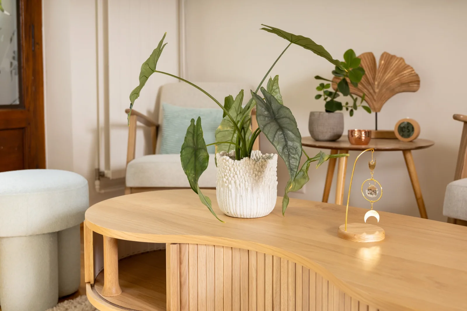 Salon principal du cabinet, fauteuils en bois clair et plantes