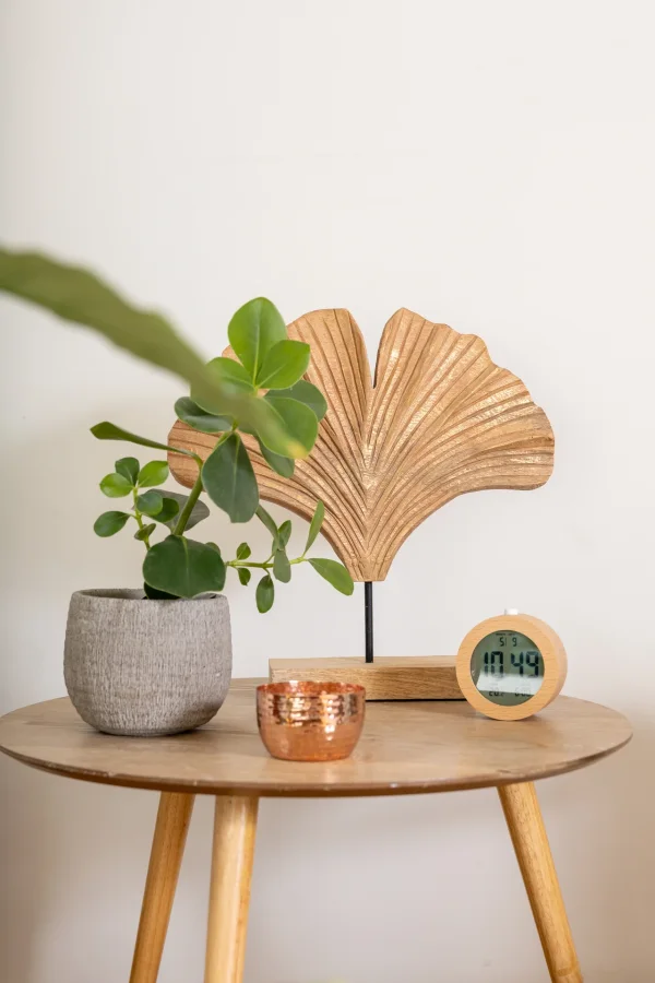 Détail ginkgo et horloge, atmosphère du cabinet